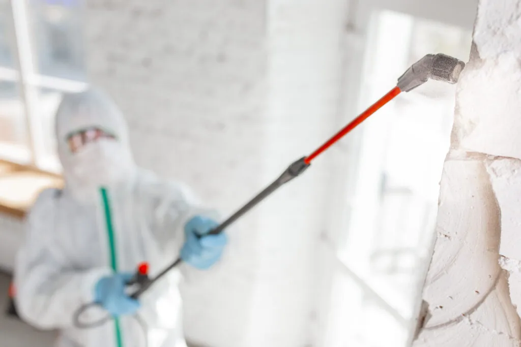 Spray Foam Insulation: The Key to a Comfortable Home Year-Round